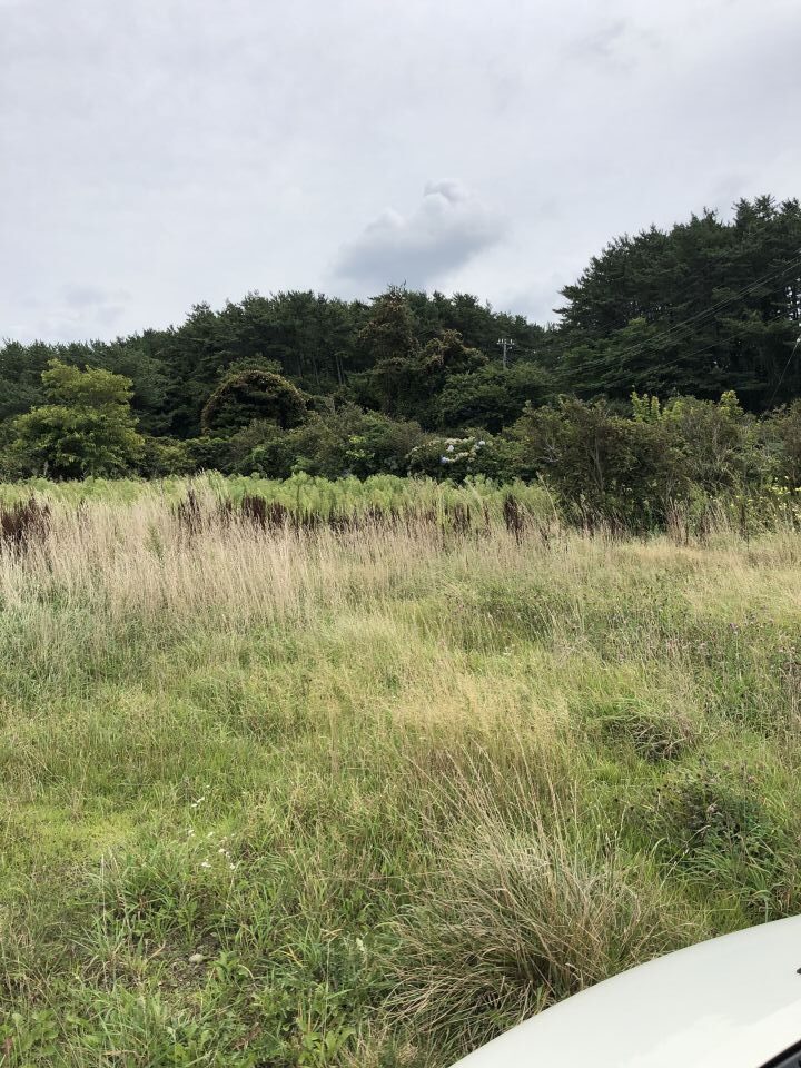 【5区画 最良物件！】青森県大間町 ウィンドファーム 年間発電量／約106,400kwh！